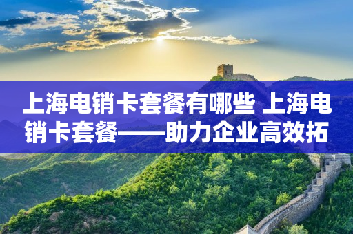 上海电销卡套餐有哪些 上海电销卡套餐——助力企业高效拓展市场，提升销售业绩